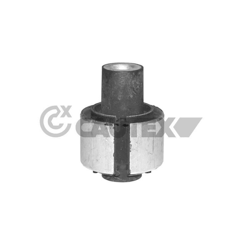 Braccio oscillante asse posteriore - CAUTEX GOMMA E PARTI MOTORE