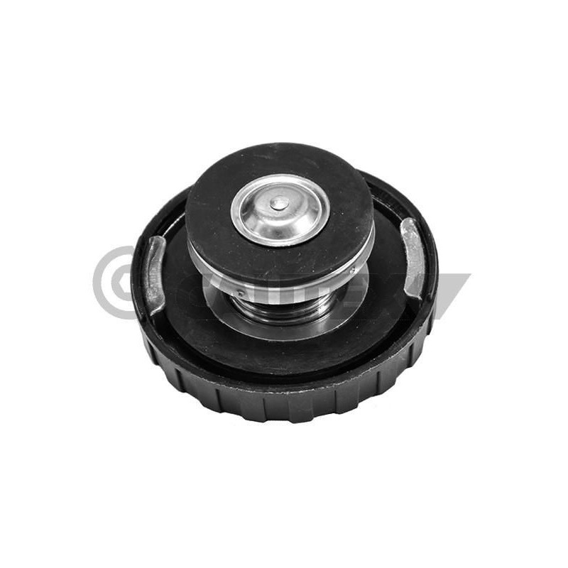 Termostato raffreddamento - CAUTEX GOMMA E PARTI MOTORE