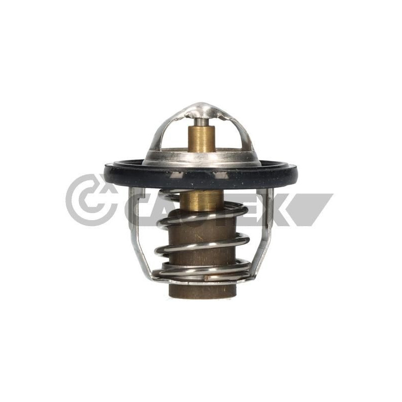 Termostato raffreddamento - CAUTEX GOMMA E PARTI MOTORE