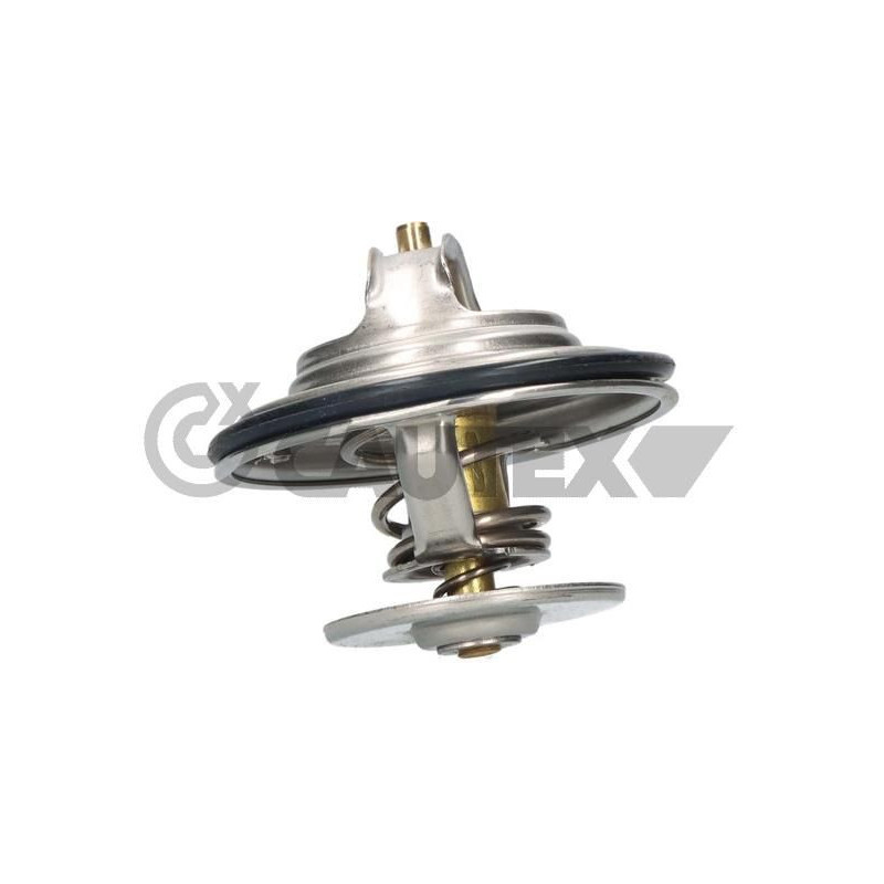 Termostato raffreddamento - CAUTEX GOMMA E PARTI MOTORE
