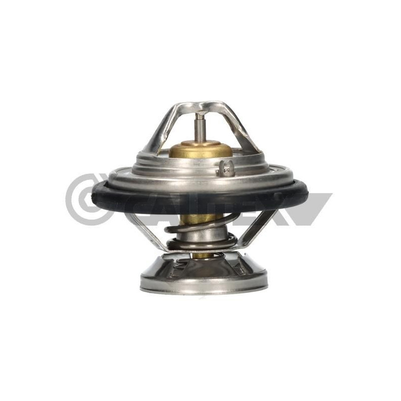 Termostato raffreddamento - CAUTEX GOMMA E PARTI MOTORE