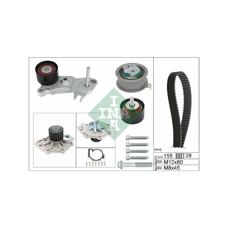 Cinghia/catena distribuzione - INA