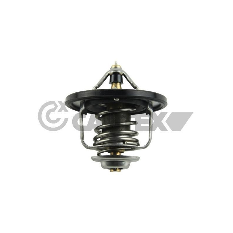 Termostato raffreddamento - CAUTEX GOMMA E PARTI MOTORE