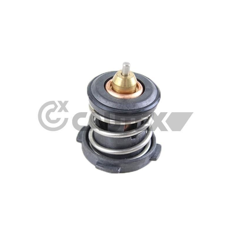 Termostato raffreddamento - CAUTEX GOMMA E PARTI MOTORE