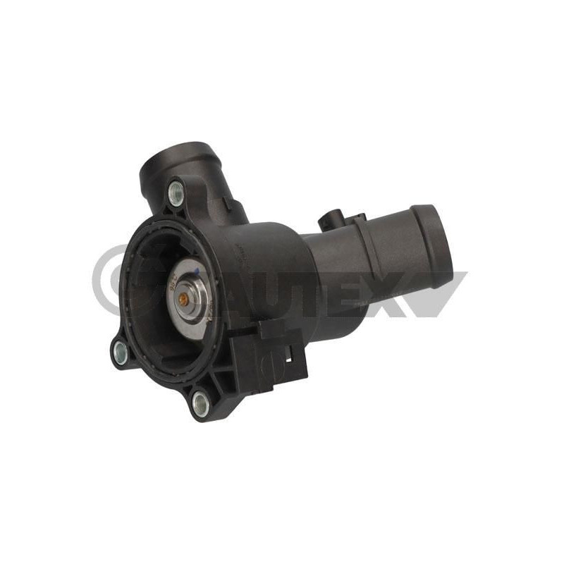 Termostato raffreddamento - CAUTEX GOMMA E PARTI MOTORE