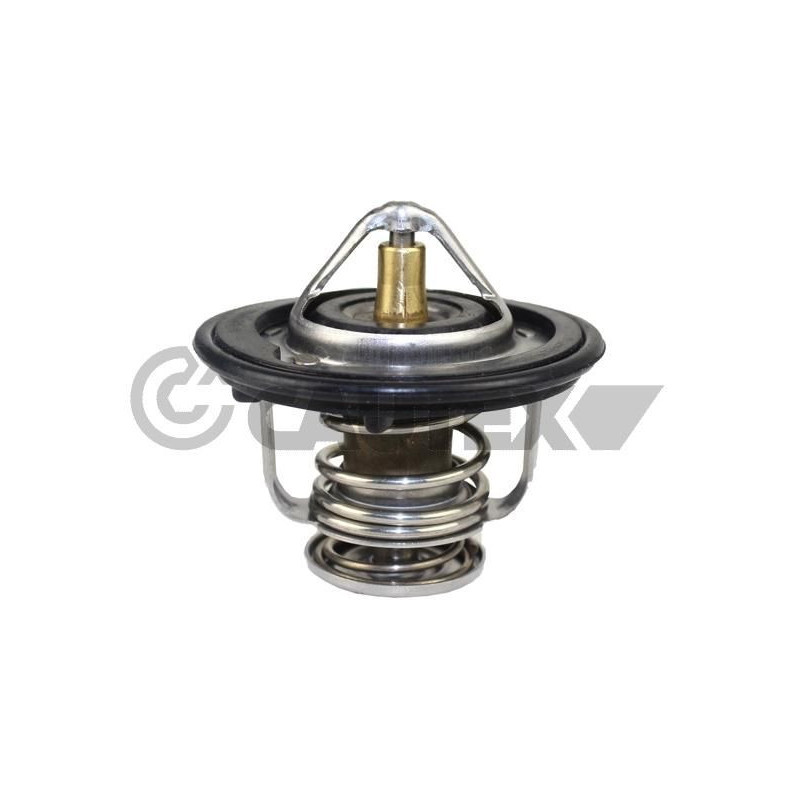 Termostato raffreddamento - CAUTEX GOMMA E PARTI MOTORE