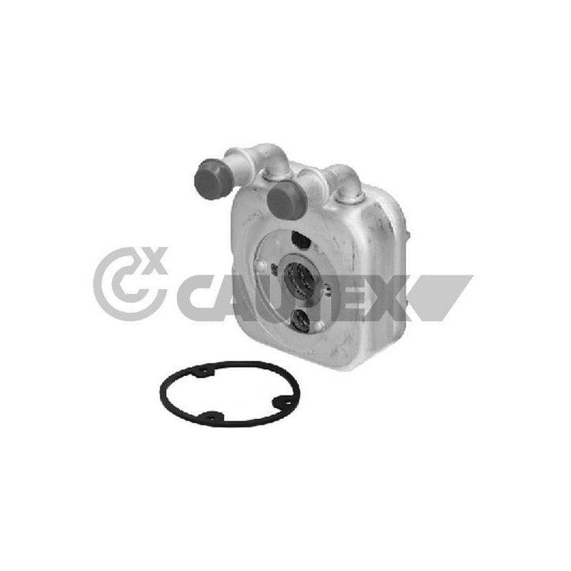 Radiatore olio motore - CAUTEX GOMMA E PARTI MOTORE