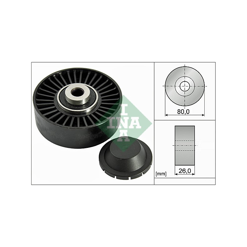 Tendicinghia trapezoidale - INA