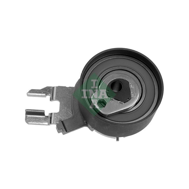 Tendicinghia distribuzione - INA