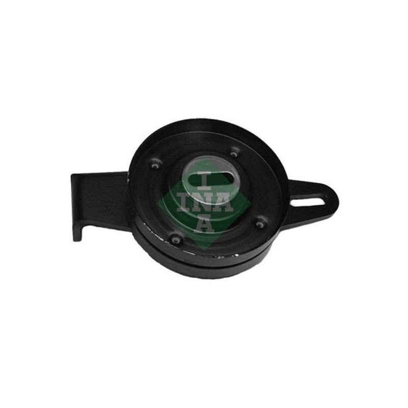 Tendicinghia trapezoidale - INA