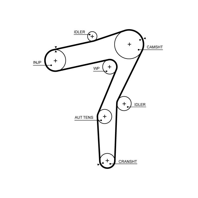 Cinghia/catena distribuzione - GATES