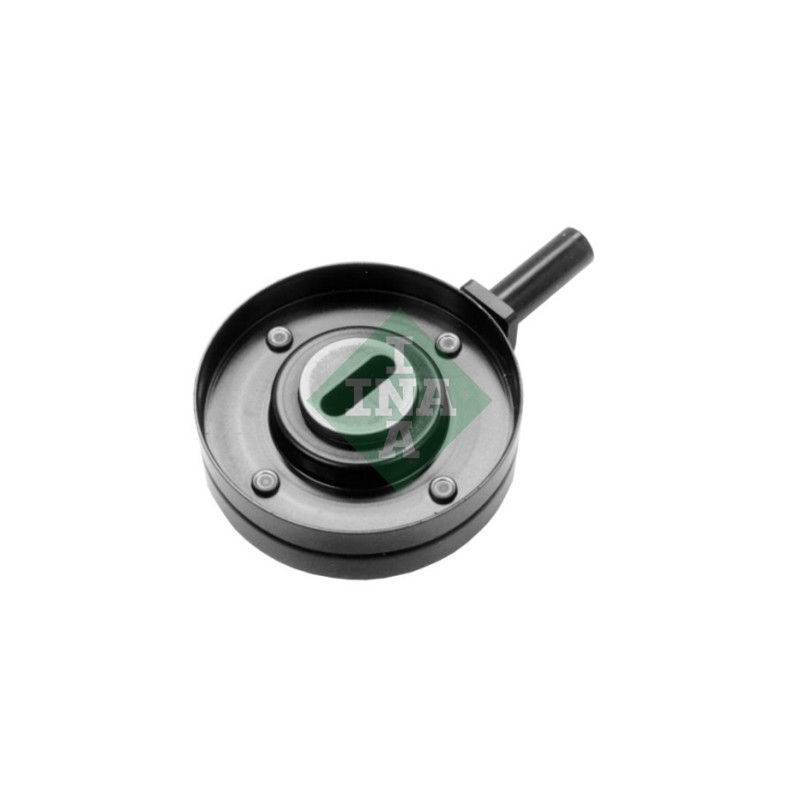 Tendicinghia trapezoidale - INA