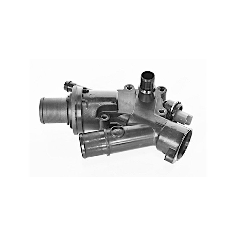 Termostato raffreddamento - GOOM