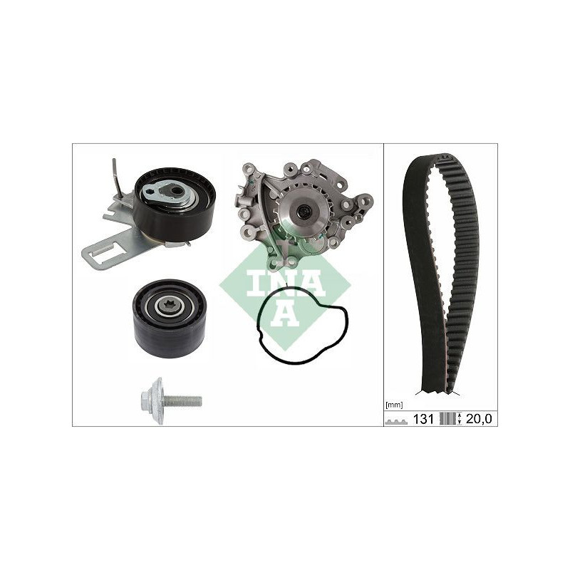 Tendicinghia distribuzione - INA