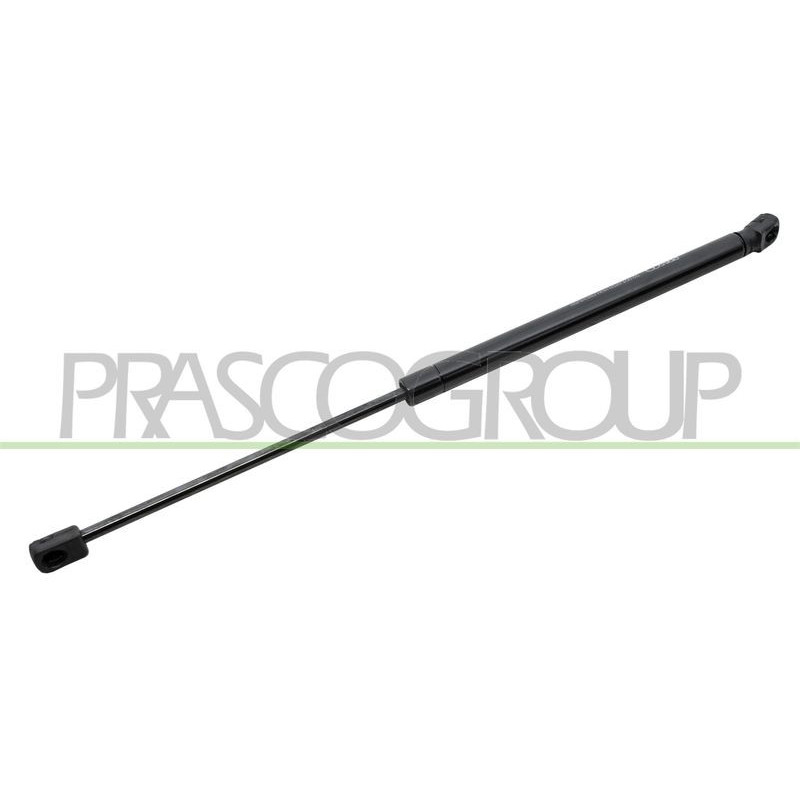 Pistoncino ammortizzatore - PRASCO