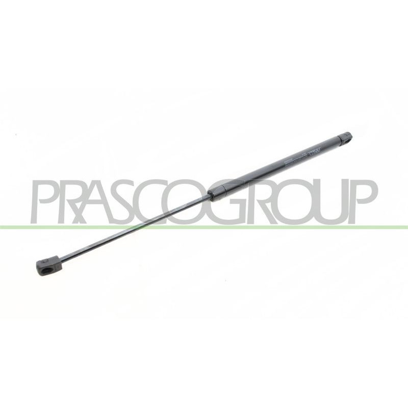 Pistoncino ammortizzatore - PRASCO