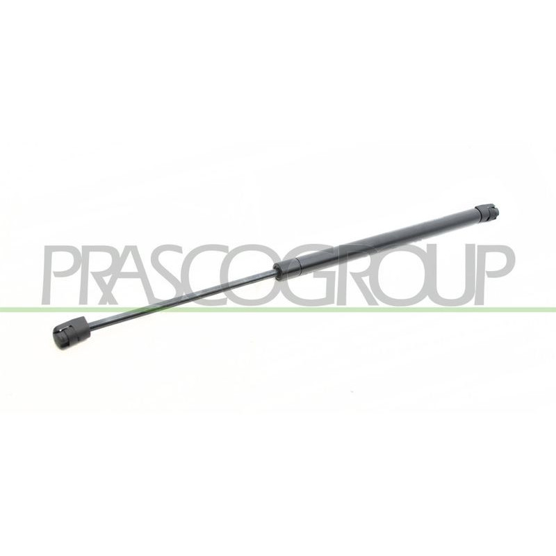 Pistoncino ammortizzatore - PRASCO