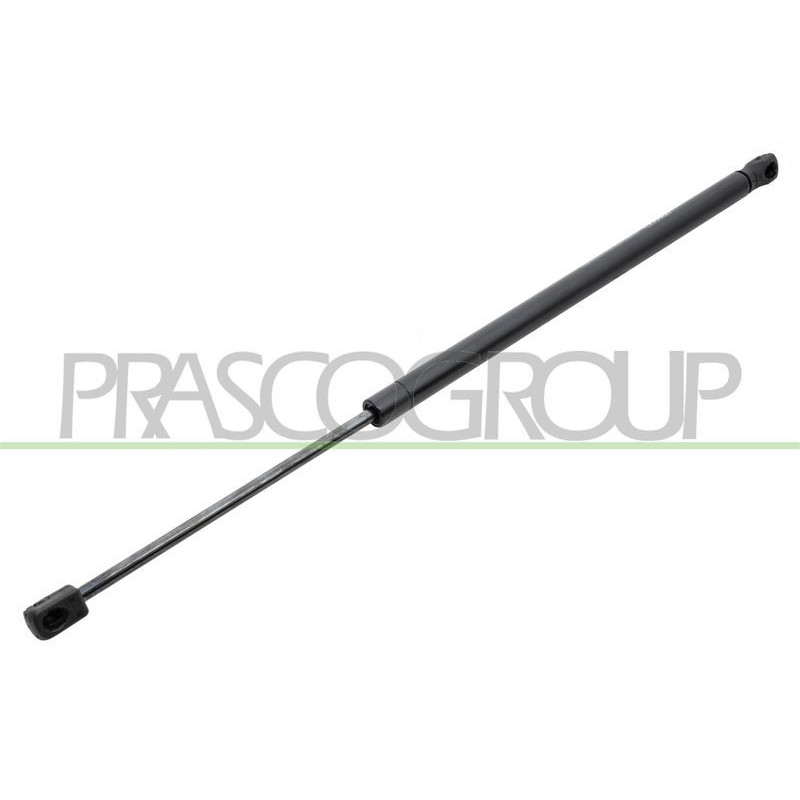 Pistoncino ammortizzatore - PRASCO