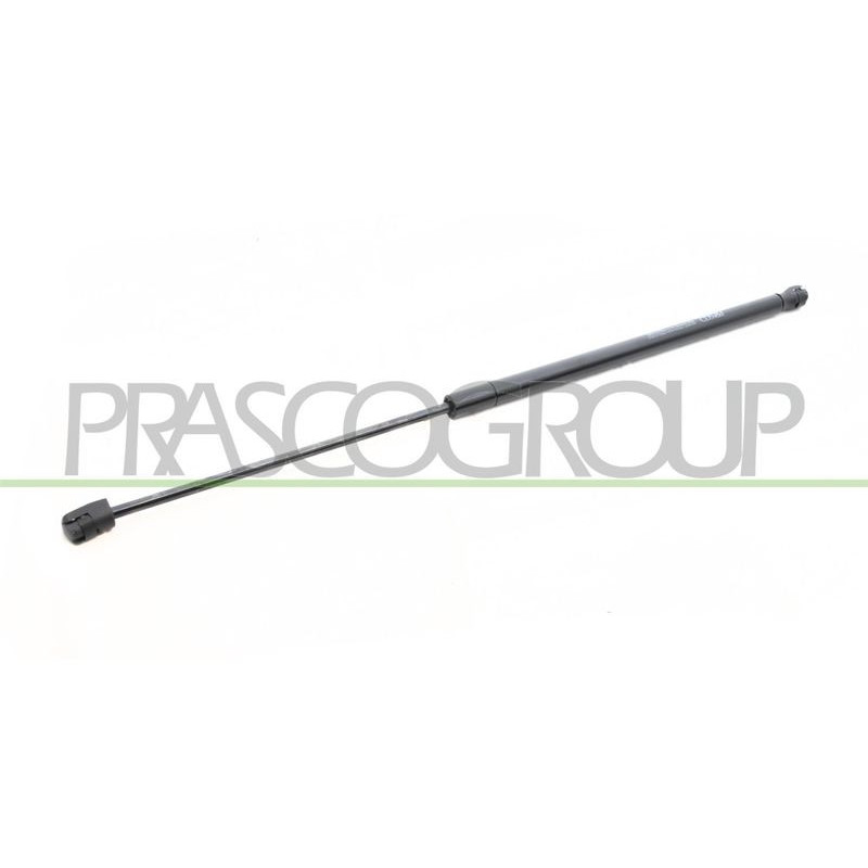 Pistoncino ammortizzatore - PRASCO