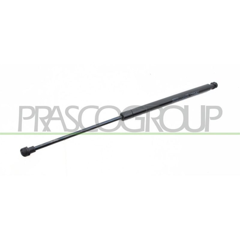 Pistoncino ammortizzatore - PRASCO