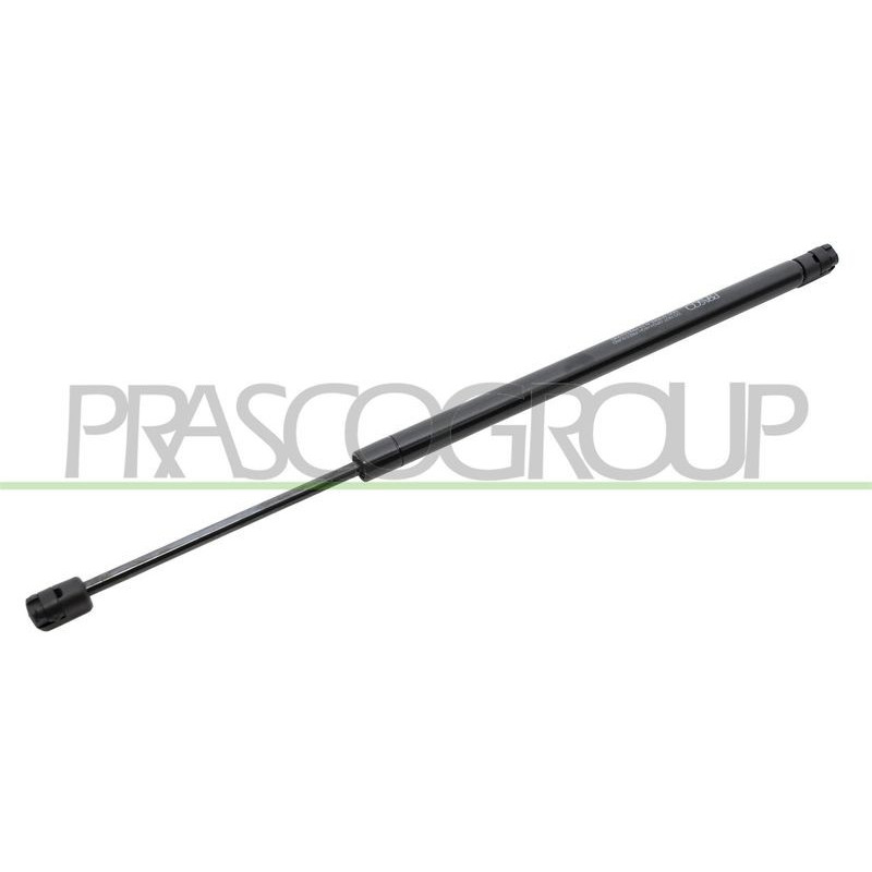 Pistoncino ammortizzatore - PRASCO