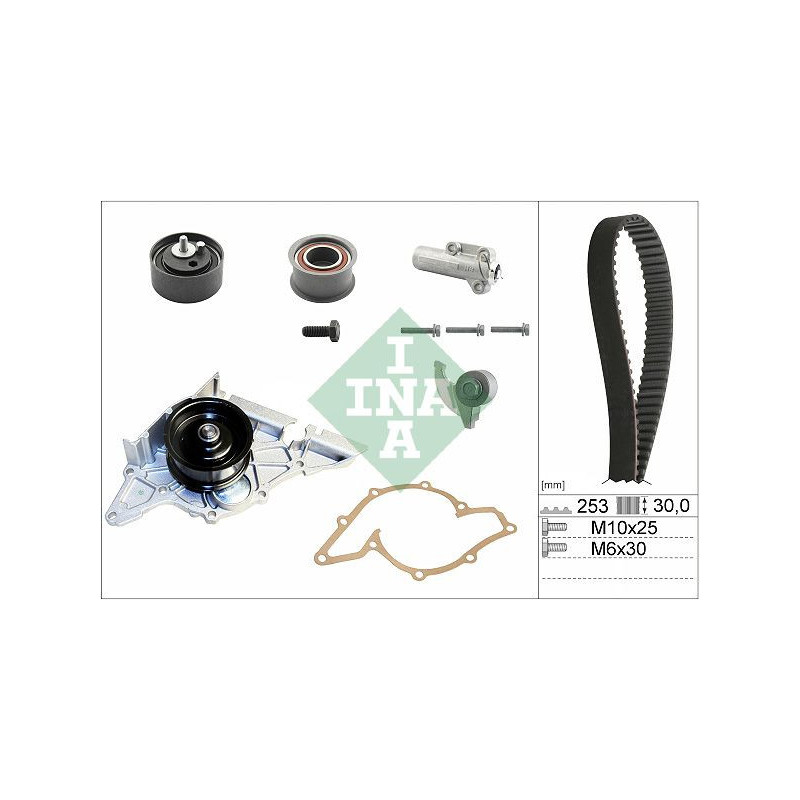 Tendicinghia trapezoidale - INA