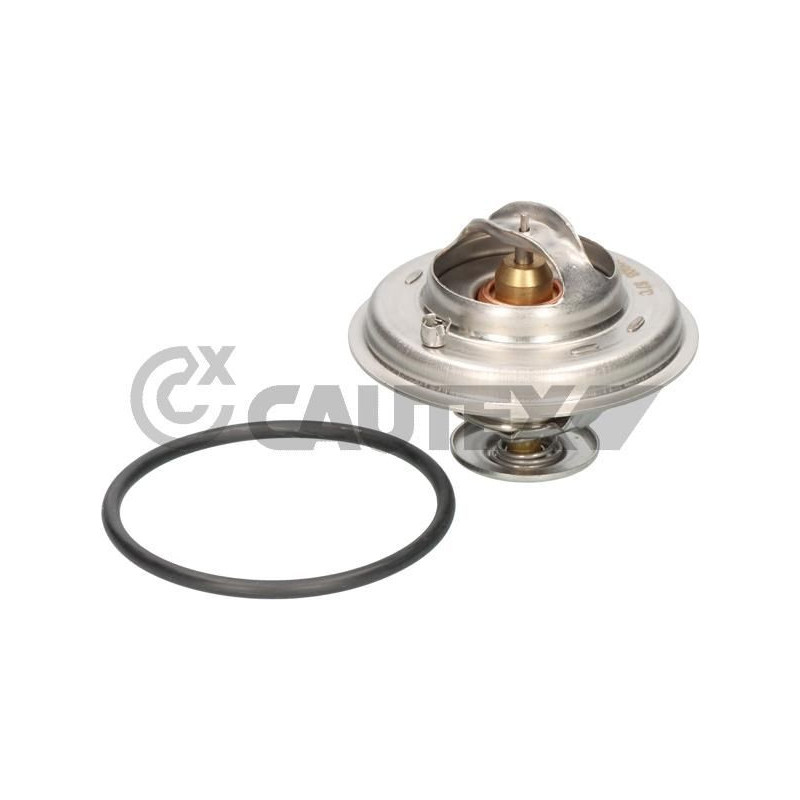 Termostato raffreddamento - CAUTEX GOMMA E PARTI MOTORE
