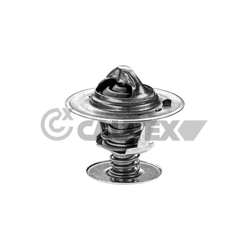 Termostato raffreddamento - CAUTEX GOMMA E PARTI MOTORE