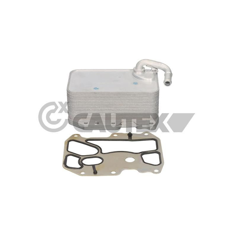 Radiatore olio motore - CAUTEX GOMMA E PARTI MOTORE