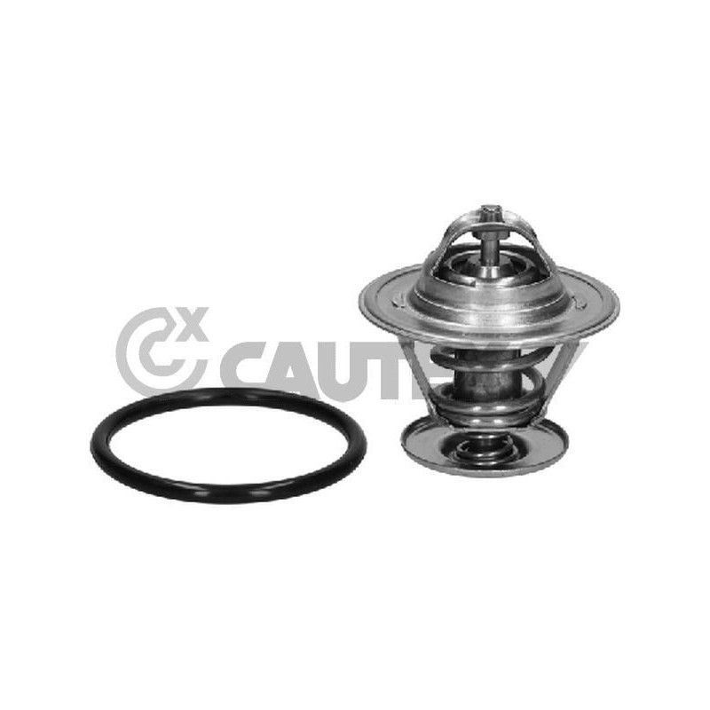 Pompa acqua - CAUTEX GOMMA E PARTI MOTORE