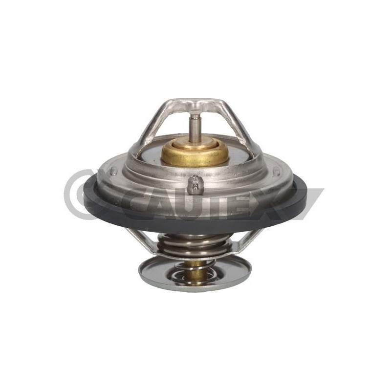 Termostato raffreddamento - CAUTEX GOMMA E PARTI MOTORE