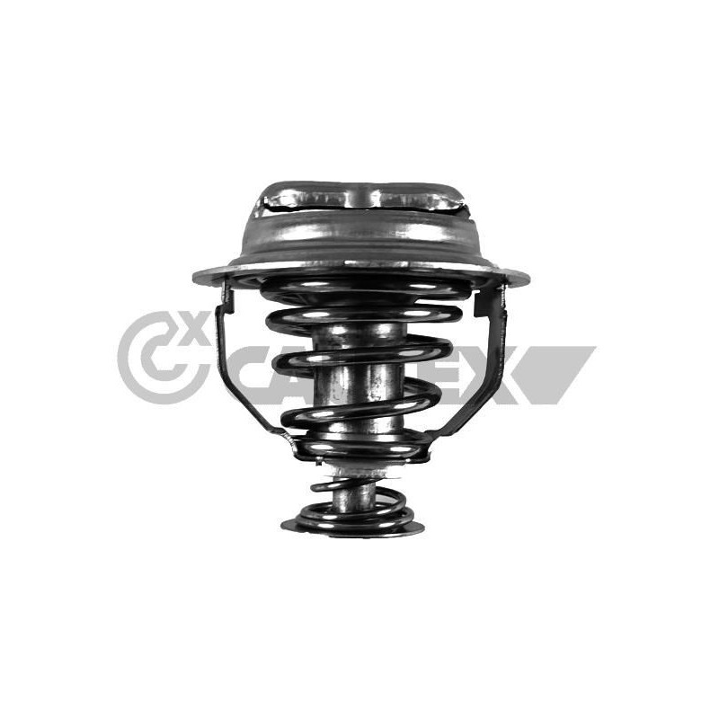 Termostato raffreddamento - CAUTEX GOMMA E PARTI MOTORE