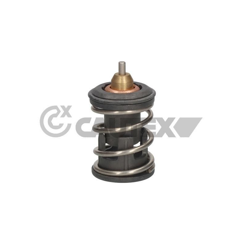 Termostato raffreddamento - CAUTEX GOMMA E PARTI MOTORE