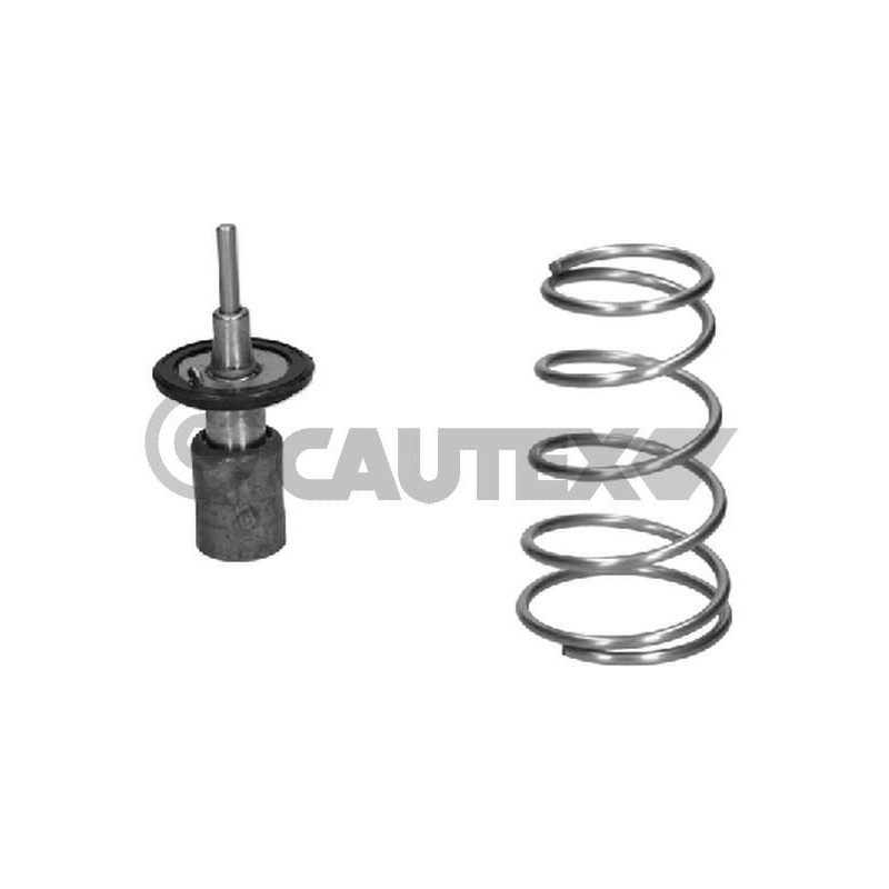 Termostato raffreddamento - CAUTEX GOMMA E PARTI MOTORE