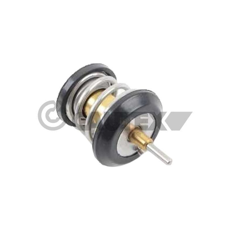 Termostato raffreddamento - CAUTEX GOMMA E PARTI MOTORE