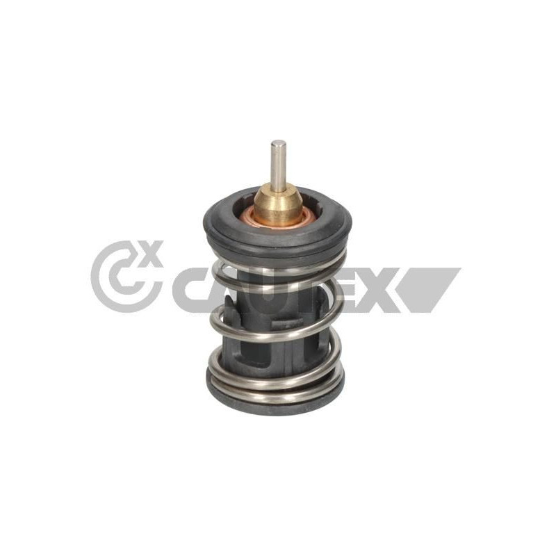 Termostato raffreddamento - CAUTEX GOMMA E PARTI MOTORE