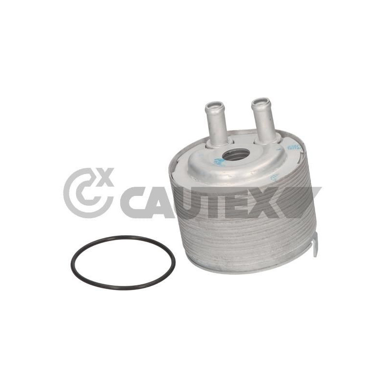 Radiatore olio motore - CAUTEX GOMMA E PARTI MOTORE