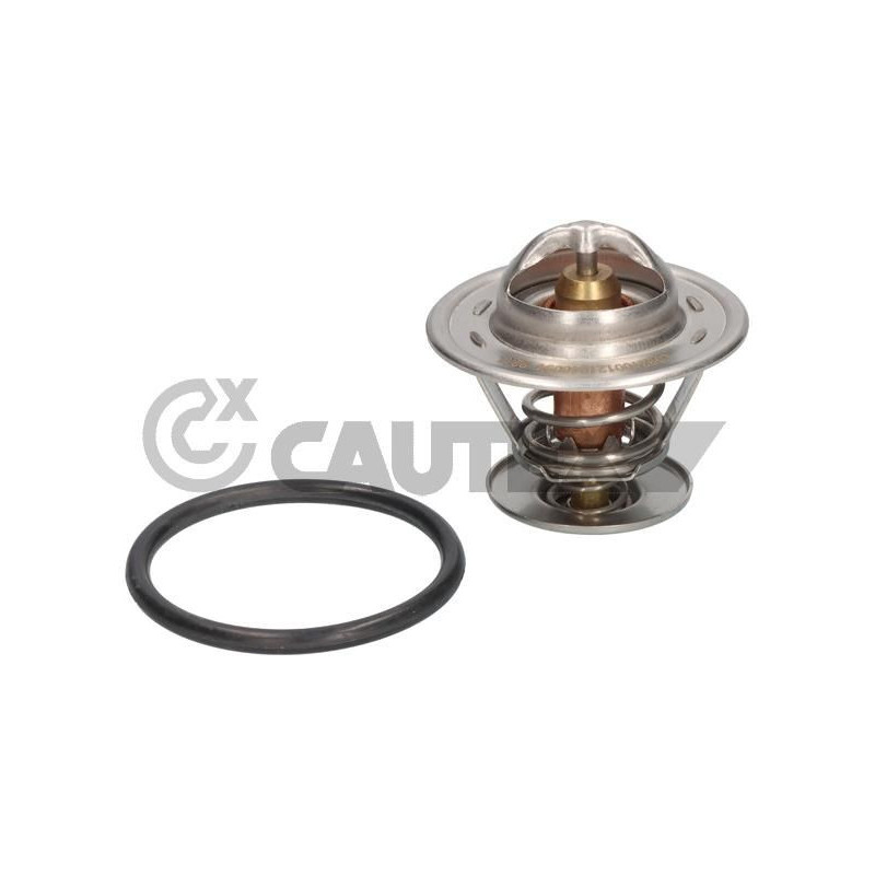 Termostato raffreddamento - CAUTEX GOMMA E PARTI MOTORE