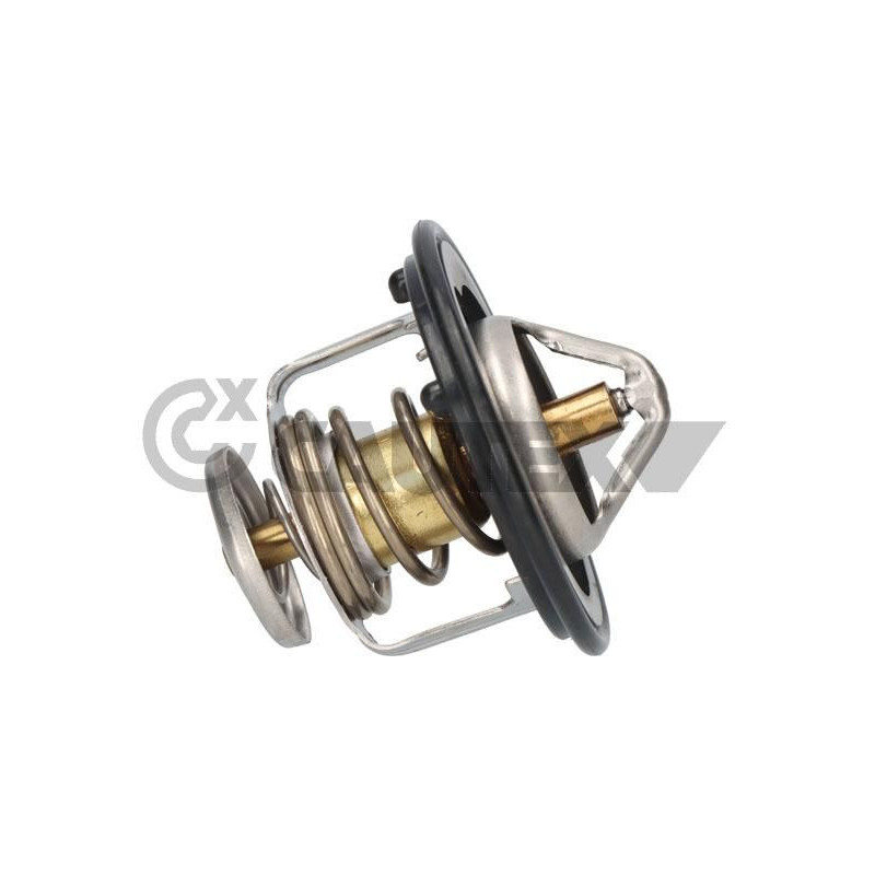 Termostato raffreddamento - CAUTEX GOMMA E PARTI MOTORE