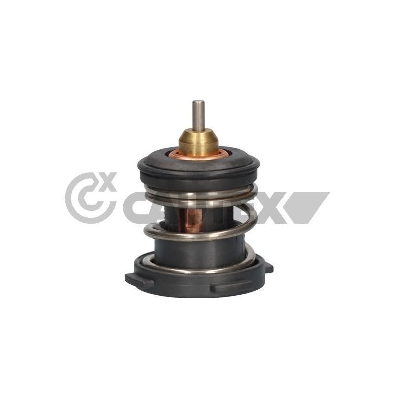 Termostato raffreddamento - CAUTEX GOMMA E PARTI MOTORE