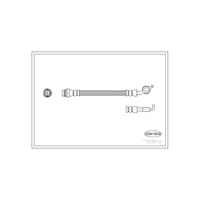 Flessibile freno asse posteriore - CORTECO