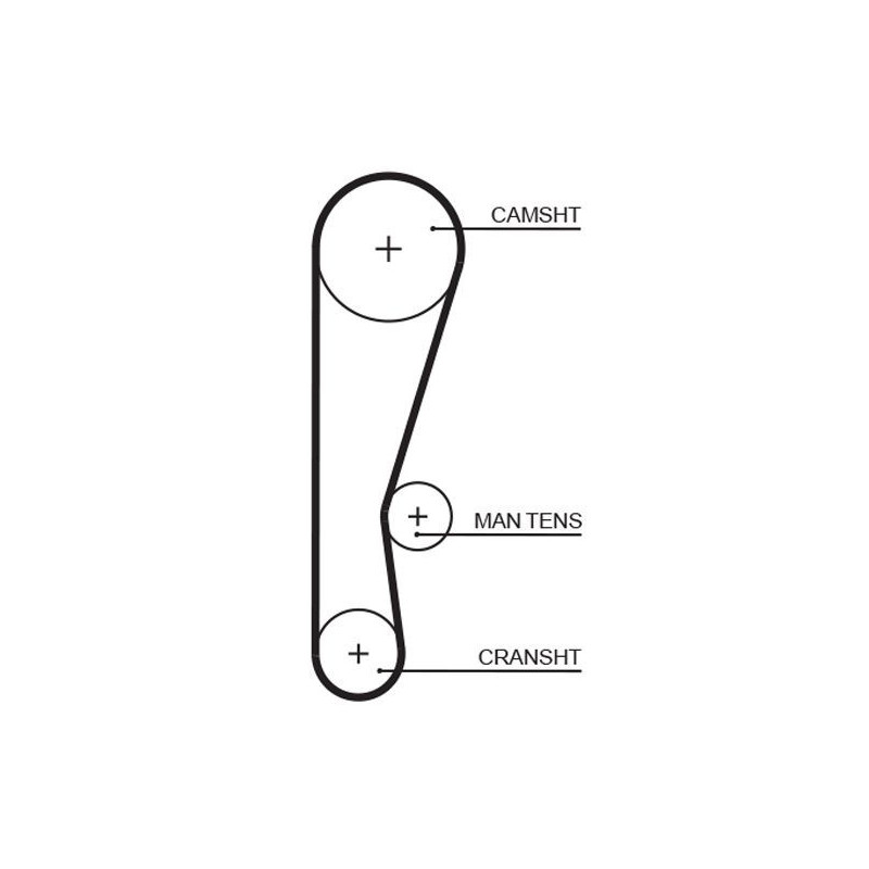 Cinghia/catena distribuzione - GATES