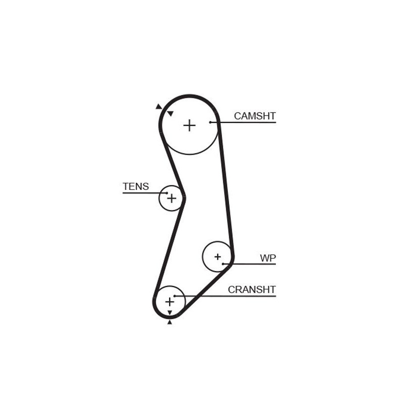 Cinghia/catena distribuzione - GATES