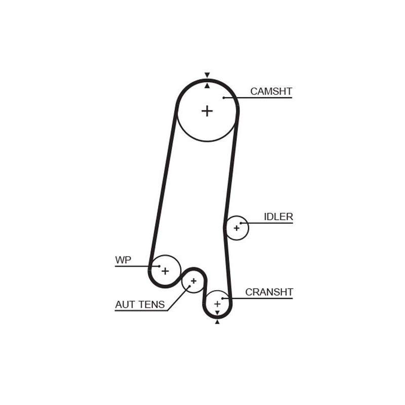 Cinghia/catena distribuzione - GATES