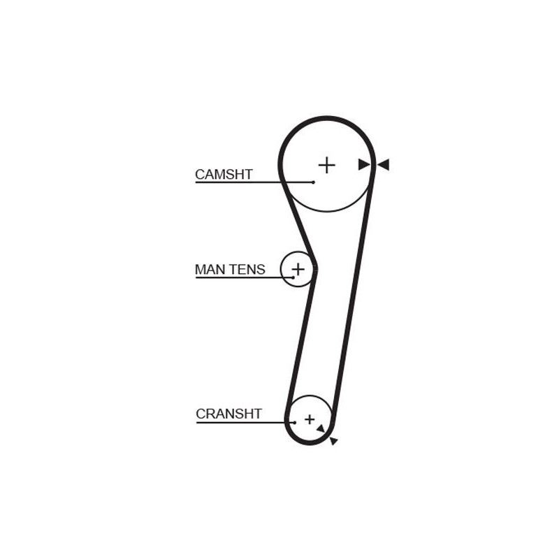 Cinghia/catena distribuzione - GATES