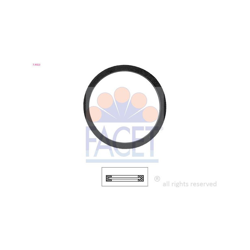 Termostato raffreddamento - FACET