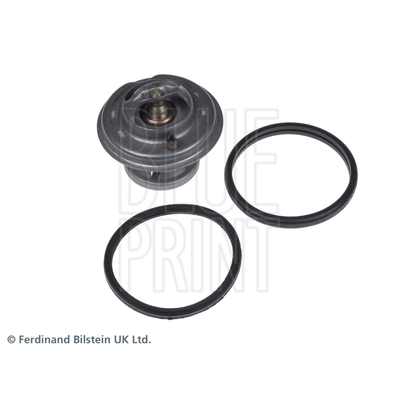 Termostato raffreddamento - BLUE PRINT