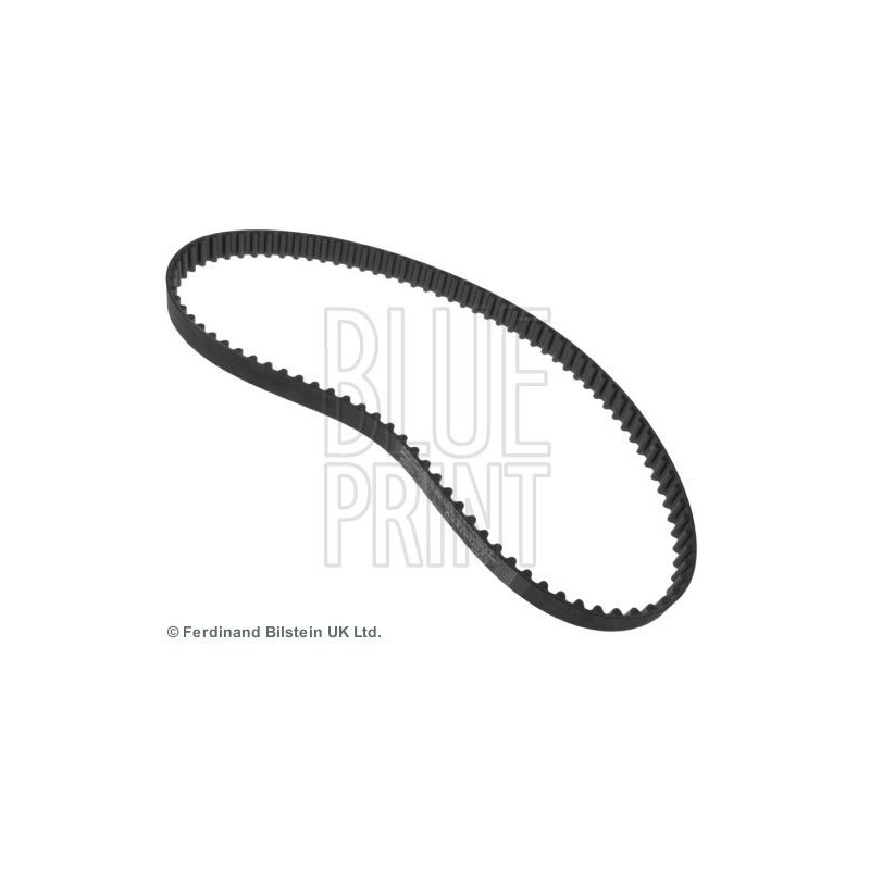 Cinghia/catena distribuzione - BLUE PRINT