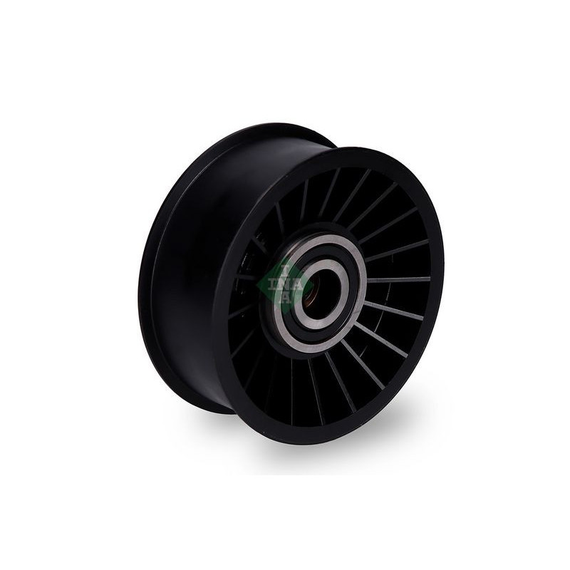 Tendicinghia trapezoidale - INA