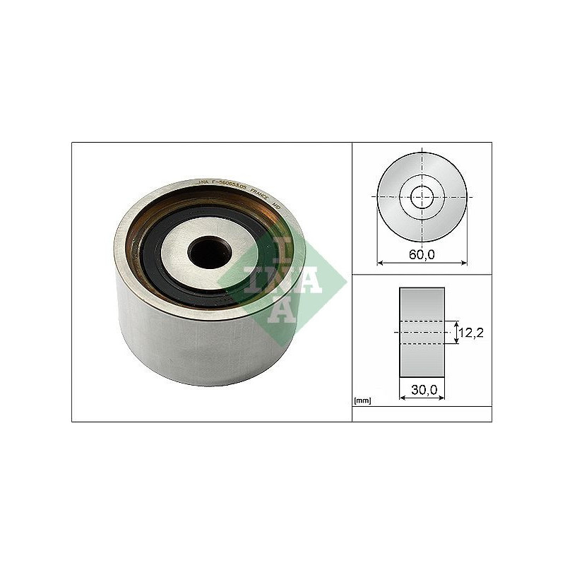Tendicinghia distribuzione - INA